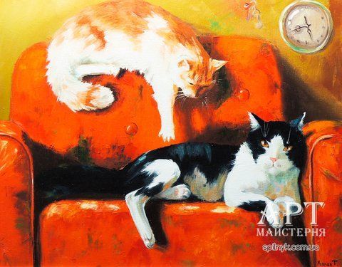 Муркоти k-08-0034 фото